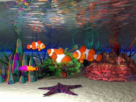 Fondos De Pantalla De Peces Fish Wallpaper Clown Fish Salt Water
