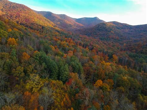 The Blue Ridge Mountains During Peak Autumn Foliage Near Asheville