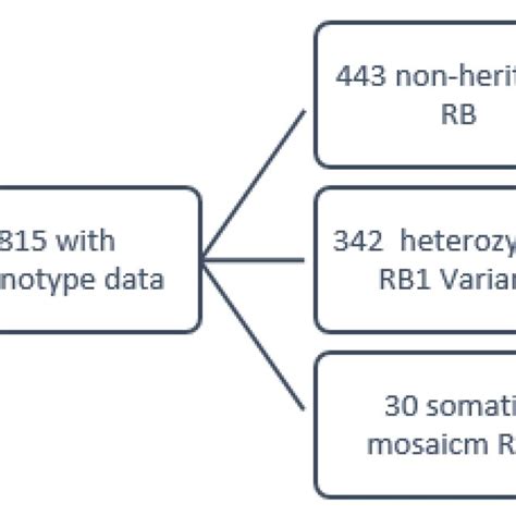 Modified Consort Diagrams Of Inclusion Of Patients Download Scientific Diagram