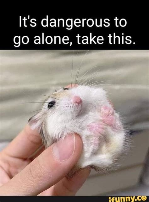 Its Dangerous To Go Alone Take This Ifunny