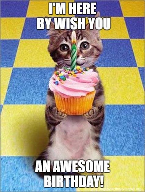 Happy Birthday Cat And Dog Meme Captions Energy