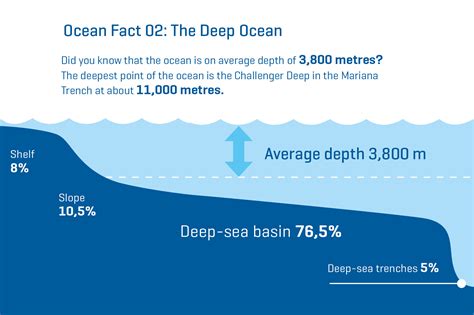 10 Facts About The Ocean Geomar Helmholtz Zentrum Für