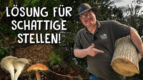 Pilze Z Chten Im Eigenen Garten Anbau Methoden F R