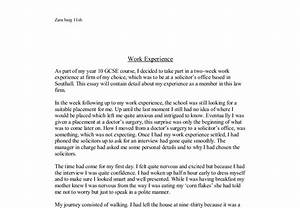 15 minutes of fame essay examples