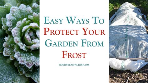 How To Protect Your Vegetable Garden From Frost Homestead Acres