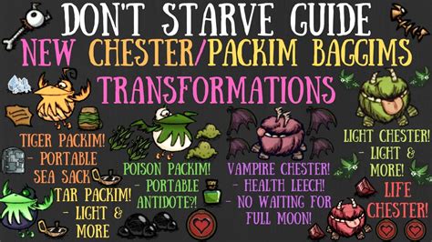 Don T Starve But Chester Packim Baggims Have New Transformations