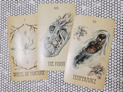 Deck Review The Wooden Tarot — Asali Earthwork