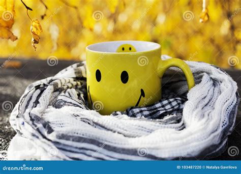 Autumn Cup Smiley Stock Photo Image Of Coffe Natural 103487220