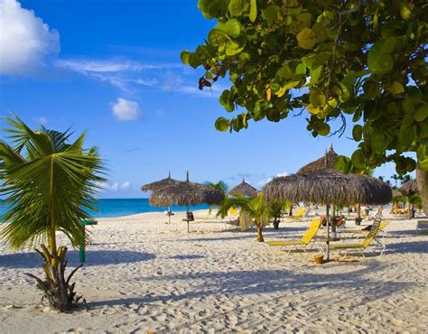 Palm Eagle Beach Aruba Caribbean Top 25 Beaches In