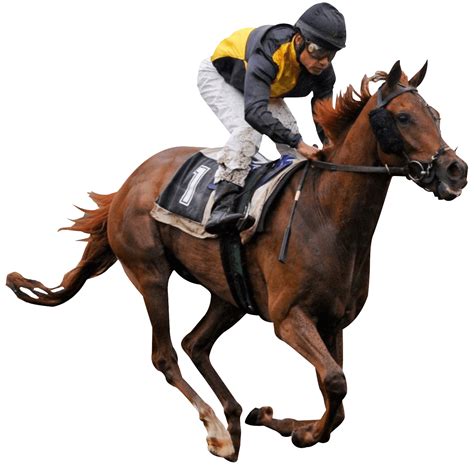 Race Horse Transparent Png Stickpng