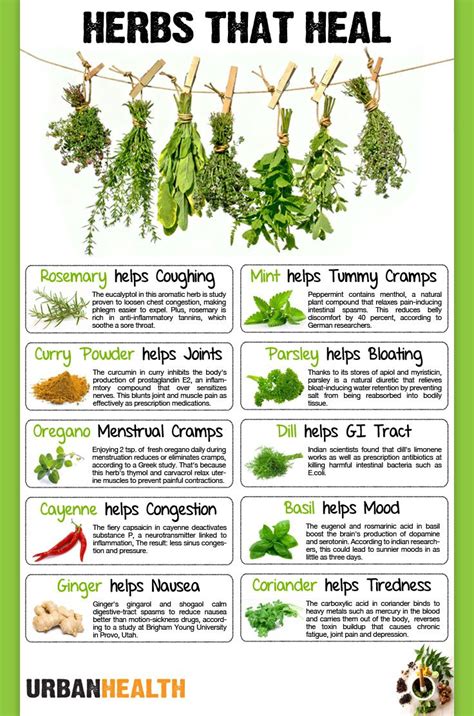 It S All Right Here Herbs That Heal Healing Herbs Herbs Medicinal