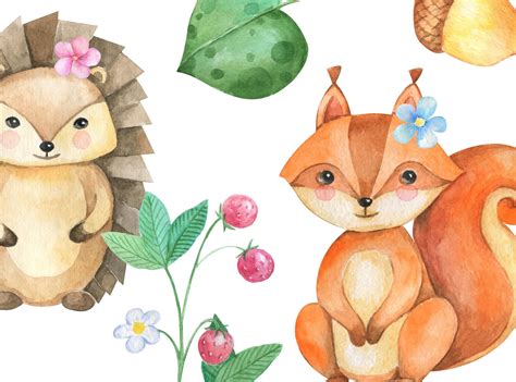 Craft Supplies And Tools Watercolor Forest Animals Clipart Woodland