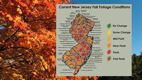 Peak Fall Foliage Weekend Arrives Nj Heres A Map Of The Best Spots