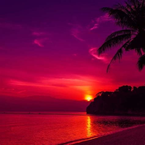 10 Best Sunset Wallpaper Hd 1920x1080 Full Hd 1080p For Pc Desktop 2021