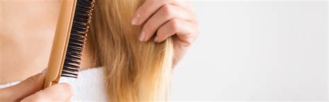 Split Ends Overview About Damaged Hair