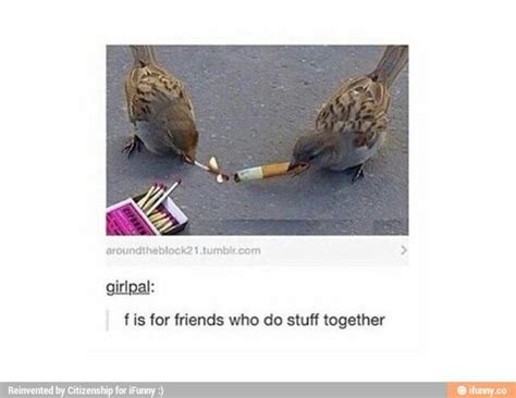 F is for fire that burns down the whole town. F is for friends who do stuff together | Tumblr Funnies ...