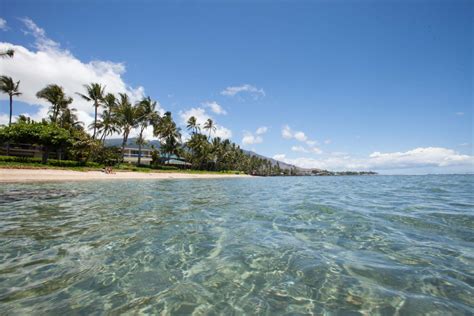 Top 5 Maui Beaches For Families Exotic Estates