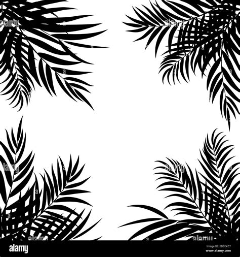 Beautifil Palm Tree Leaf Silhouette Background Illustration Stock Photo