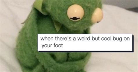 20 Clean Kermit Memes Factory Memes