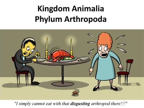 Ppt Kingdom Animalia Phylum Arthropoda Powerpoint Presentation Free