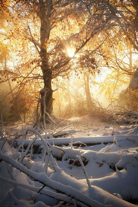 When Winter Meets Fall By Florent Courty On 500px Autumn Landscape