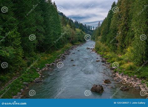 The Winding Cispus River Stock Image Image Of Landscape 125130937