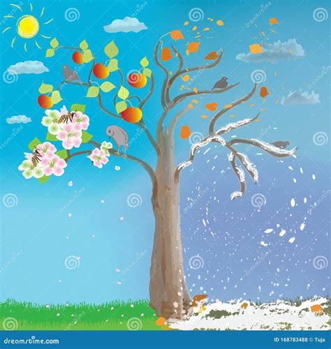 Apple Tree In Four Seasons On Cloudy Sky Background With Sun Spring