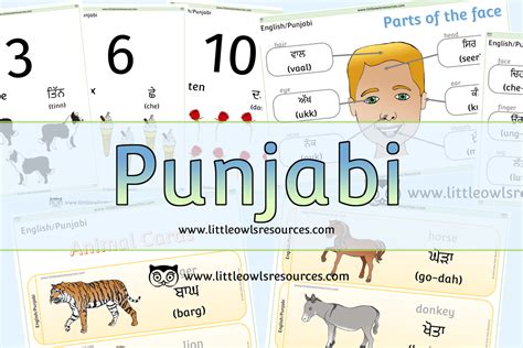Free Punjabienglish Dual Language Printable Early Yearseyfspreschool