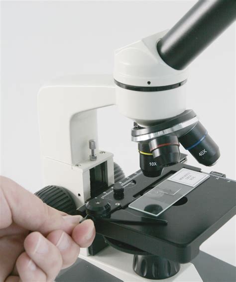 Bresser Usb Hand Microscope Drivers