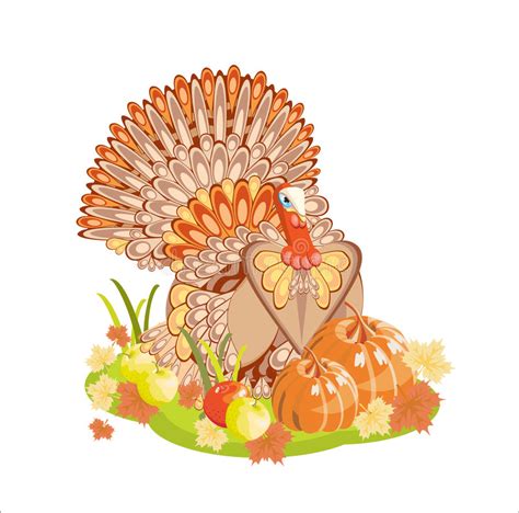 Thanksgiving Turkey Stock Illustrations 32626 Thanksgiving Turkey