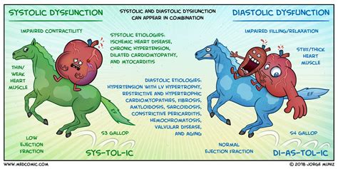 Systolic Vs Diastolic Dysfunction Diastolic Heart Failure Heart