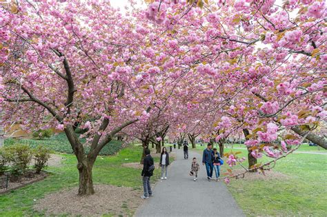 Earth Day In Nyc Guide Including Outdoor And Volunteer Events