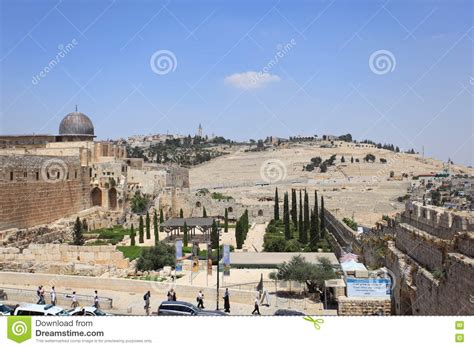 Последние твиты от masjid al aqsa (@firstqiblah). Het Archeologische Park, Al-Aqsa, Zet Olijven Op ...