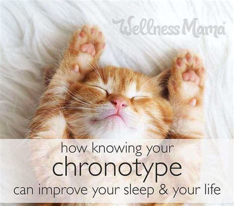 How Your Chronotype Can Improve Your Sleep Wellness Mama Podcast