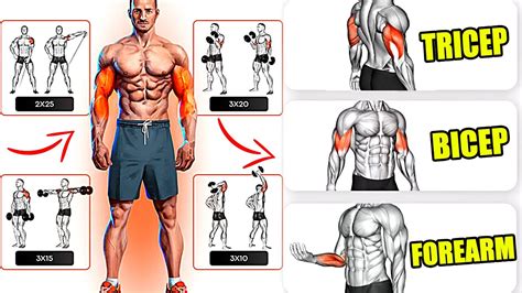 How To Get Bigger Arms Bicep And Tricep Workouts