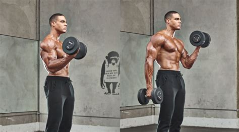 The 30 Minute Dumbbell Workout To Build Your Biceps Muscle And Fitness