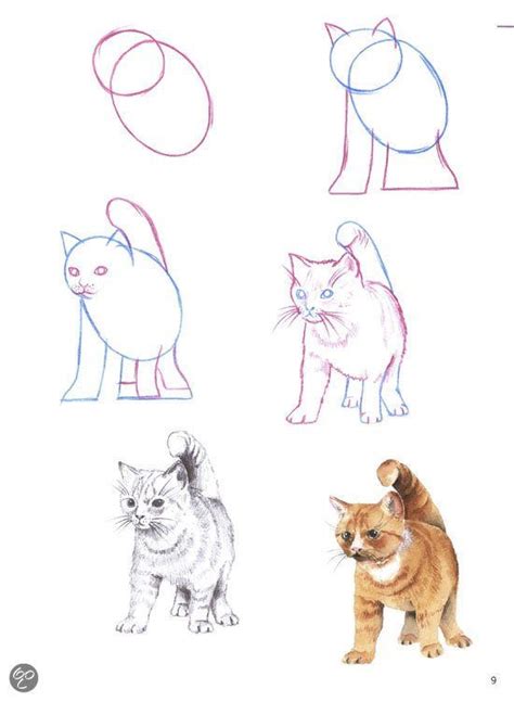 Kat schattige dieren tekenen makkelijk. katten tekenen - Google zoeken | Dieren tekenen ...