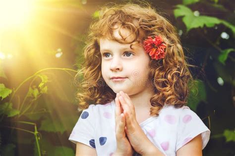 Praying Little Girl Stock Photo Image Of Hear Faith 48550830