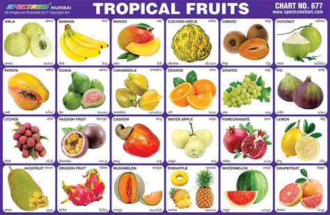 Whether you're travelling abroad or exploring the exotic fruit aisle, see if these delicious unusual fruits pass the taste test. Spectrum Educational Charts: Chart 677 - Tropical Fruits