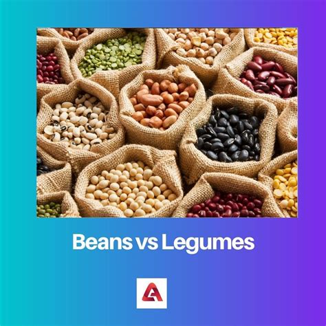 Beans Vs Legumes Difference And Comparison