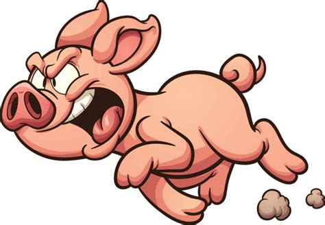 Mad Pig Illustrations Royalty Free Vector Graphics And Clip Art Istock