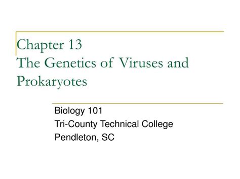 Ppt Chapter 13 The Genetics Of Viruses And Prokaryotes Powerpoint