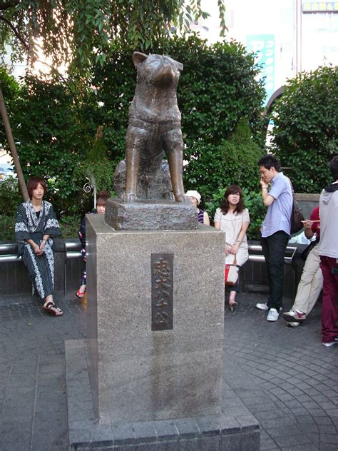 Meet The Real Hachiko The Japanese Revere This Extraordinary Dog For