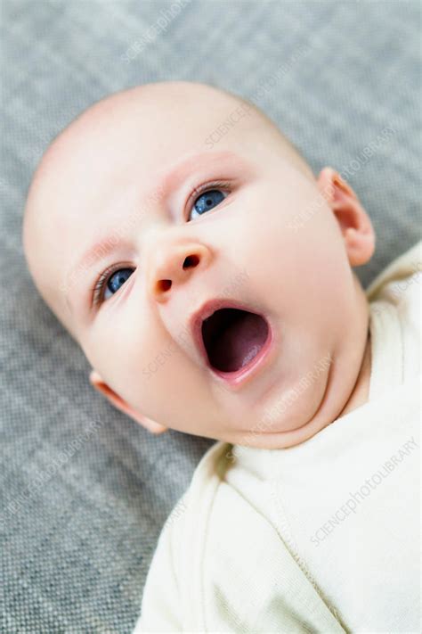 Portrait Of Baby Boy Yawning Stock Image F0079797 Science Photo