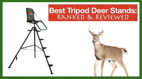 Best Tripod Deer Stand In 2021 Bowscanner