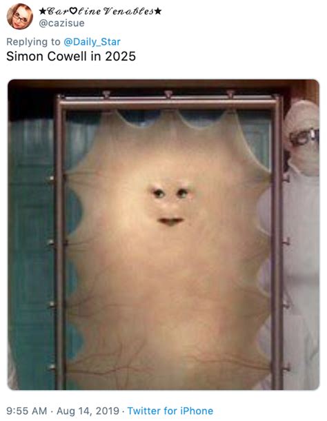 2025 simon cowell s face know your meme