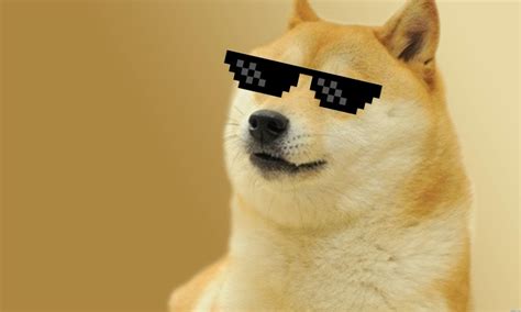 76 Doge Meme Wallpapers On Wallpaperplay Doge Meme Doge Meme Background