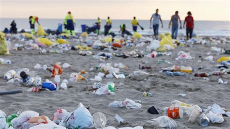 How Plastic Is Ruining The Environment Animals And