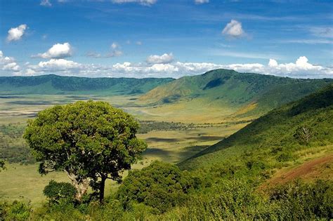 Ngorongoro Crater Safari Holiday Tanzania Safari Guide Africa