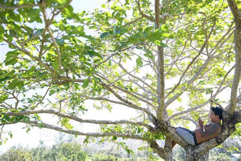 Man Using Smartphone On Tree Pagudpud Ilocos Norte Philippines